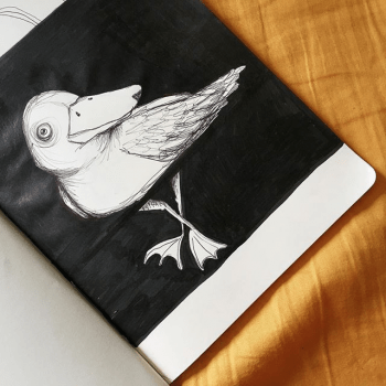 An art project of Julia Henauer showing a pencil drawn white duck on a black background. 